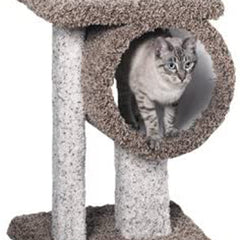Collection image for: Cat Trees & Scratchers
