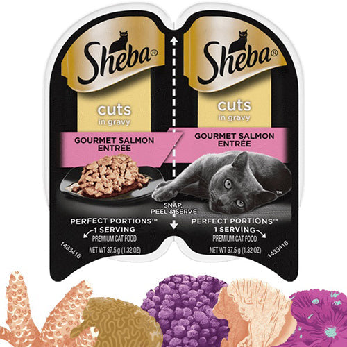 Sheba Perfect Portions Cuts Salmon Entree Grain Free Cat Food 24Ea/2.6 Oz