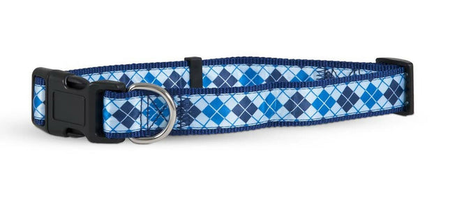 Aspen Ribbon Overlay Adjustable Dog Collar Blue 3/8 in x 14-20 in Medium