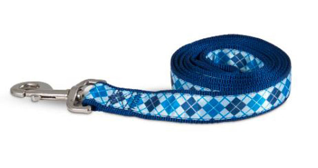 Aspen Ribbon Overlay Dog Leash Blue 1 in x 6 ft One Size