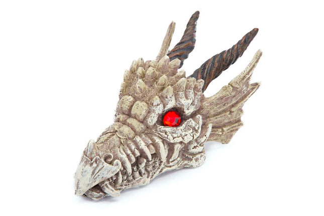 Penn-Plax Dragon Skull Gazer Aquarium Ornament 3 in Small