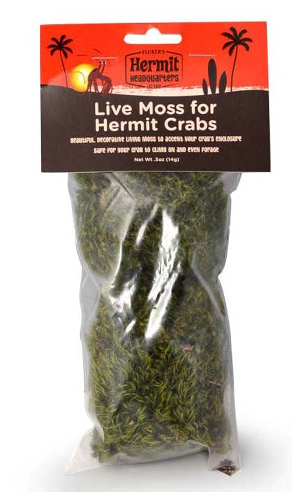 Flukers Hermit Crab Live Moss Green 0.5 oz