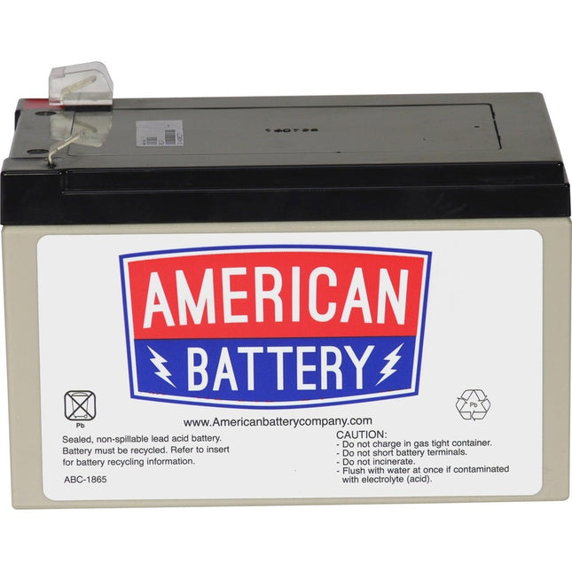 RBC4 REPLACEMENT BATTERY PK