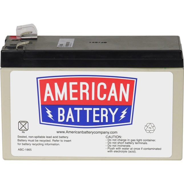 RBC110 REPLACEMENT BATTERY PK