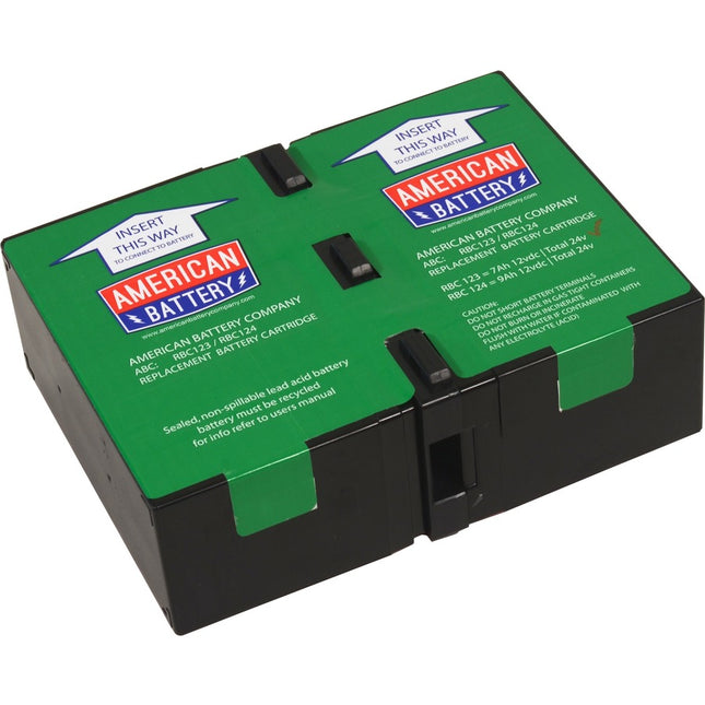 RBC123 REPLACEMENT BATTERY PK