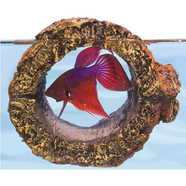 Zoo Med Floating Betta Log Aquarium Ornament Brown