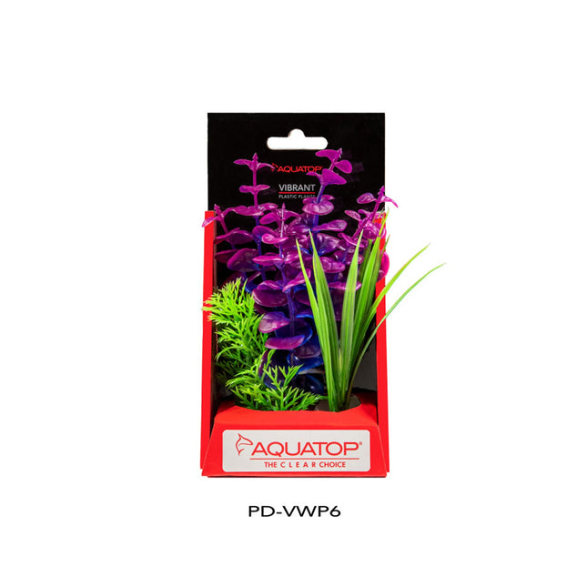Aquatop Vibrant Wild Plant Purpleberry; 1ea-6 in