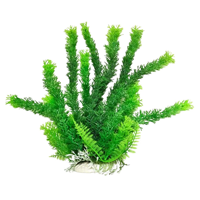 Aquatop Cabomba Aquarium Plant with Weighted Base Green 12 in