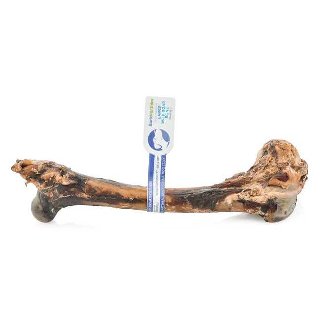 Barkworthies Wild Boar Humerus (Small Bone Box) Sold As Whole Case Of 20